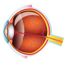 Eye Diagrams